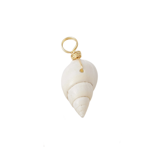 Real Shell Charm