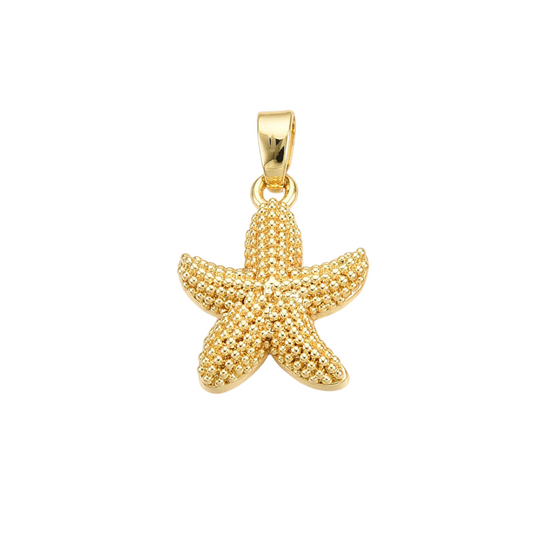 Star Fish Charm