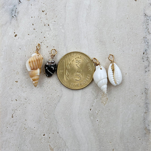 Real Shell Charms